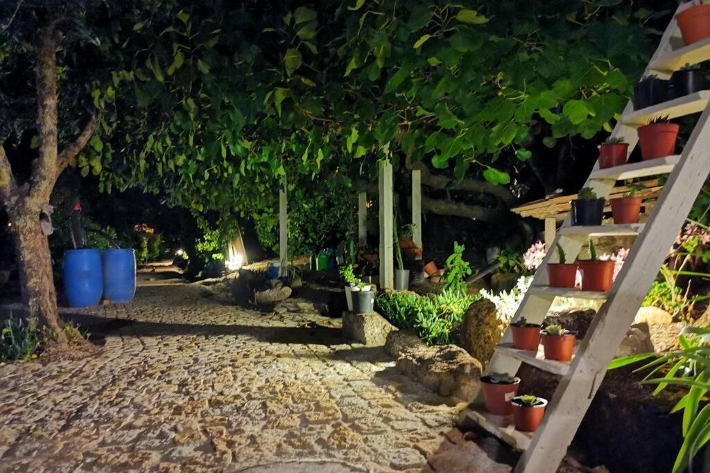 Casa Bento Moura Portugal Villa Moimenta da Serra ภายนอก รูปภาพ