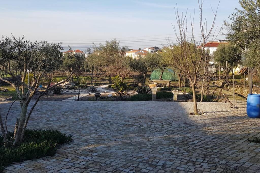 Casa Bento Moura Portugal Villa Moimenta da Serra ภายนอก รูปภาพ